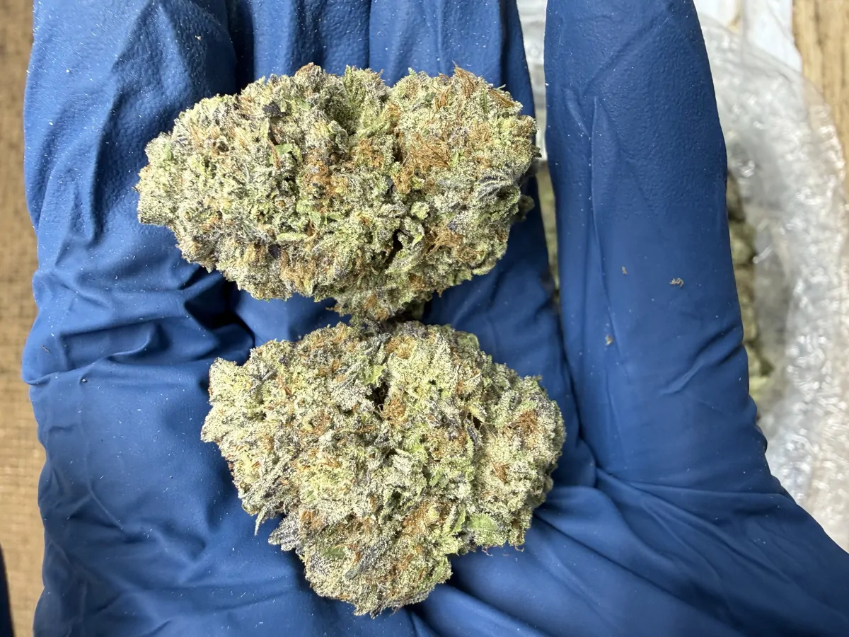 Oreoz Flower